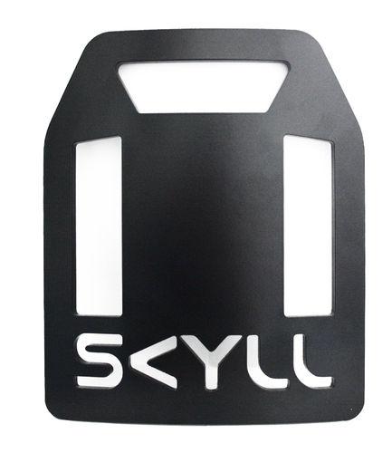 BP SKYLL Tac Fitness Crossfit Stahlplatte Trainingsplatte